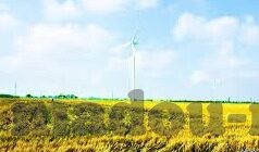 麻豆av搭讪素人拍av-麻豆AV与现实交汇，当影像邂逅真实生活