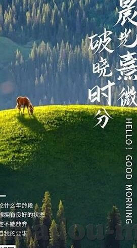 麻豆传媒人物-麻豆传媒人物，探索背后故事与时代缩影