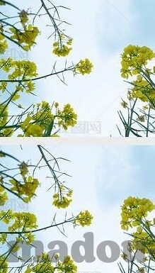 麻豆剧传媒-麻豆剧传媒，传统与创新的交融，影音艺术的再定义探索