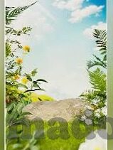 免费伦理片网站-免费伦理片网站，网络时代的文化边界与道德考量