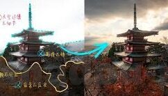 糖心app免费入口-